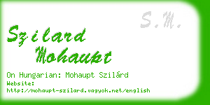 szilard mohaupt business card